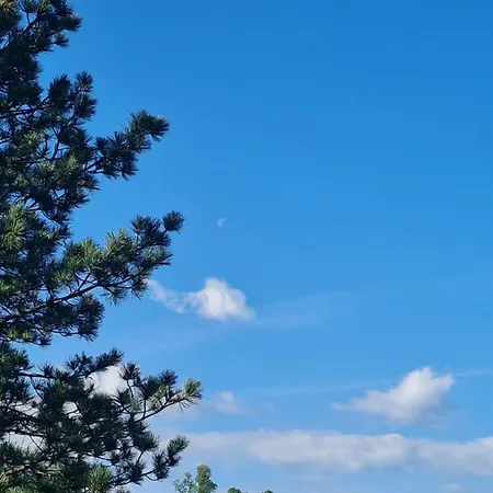 Gaestehaus Gamsblick Alloggio in famiglia